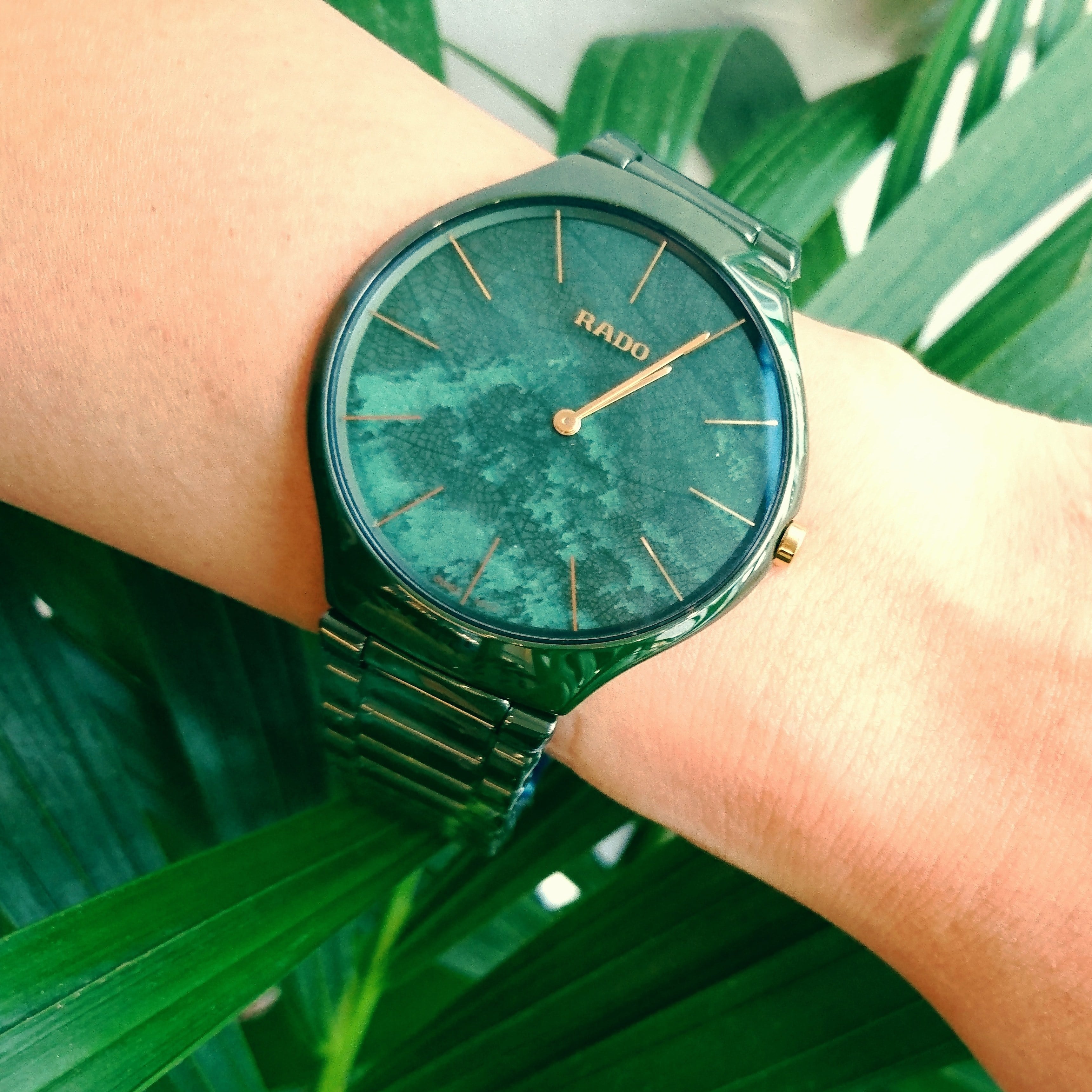【RADO ラドー】True Thinline Leaf トゥルーシンライン（リーフグリーン）／国内正規品 腕時計