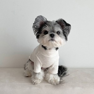 【PET】3色展開ウサギロゴ付き高品質なインナーTシャツ