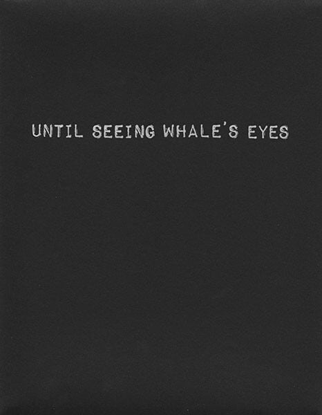 直到看見鯨魚的眼睛(until seeing whale’s eyes)「A Promise from an Amnesiac」