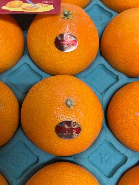 ギフトセット】（愛媛県産）紅まどんな | dreamkeinomi