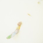 Italian Gelato - アゲートヒーリングチャイム / Agate Sun Catcher Wind Chime 059