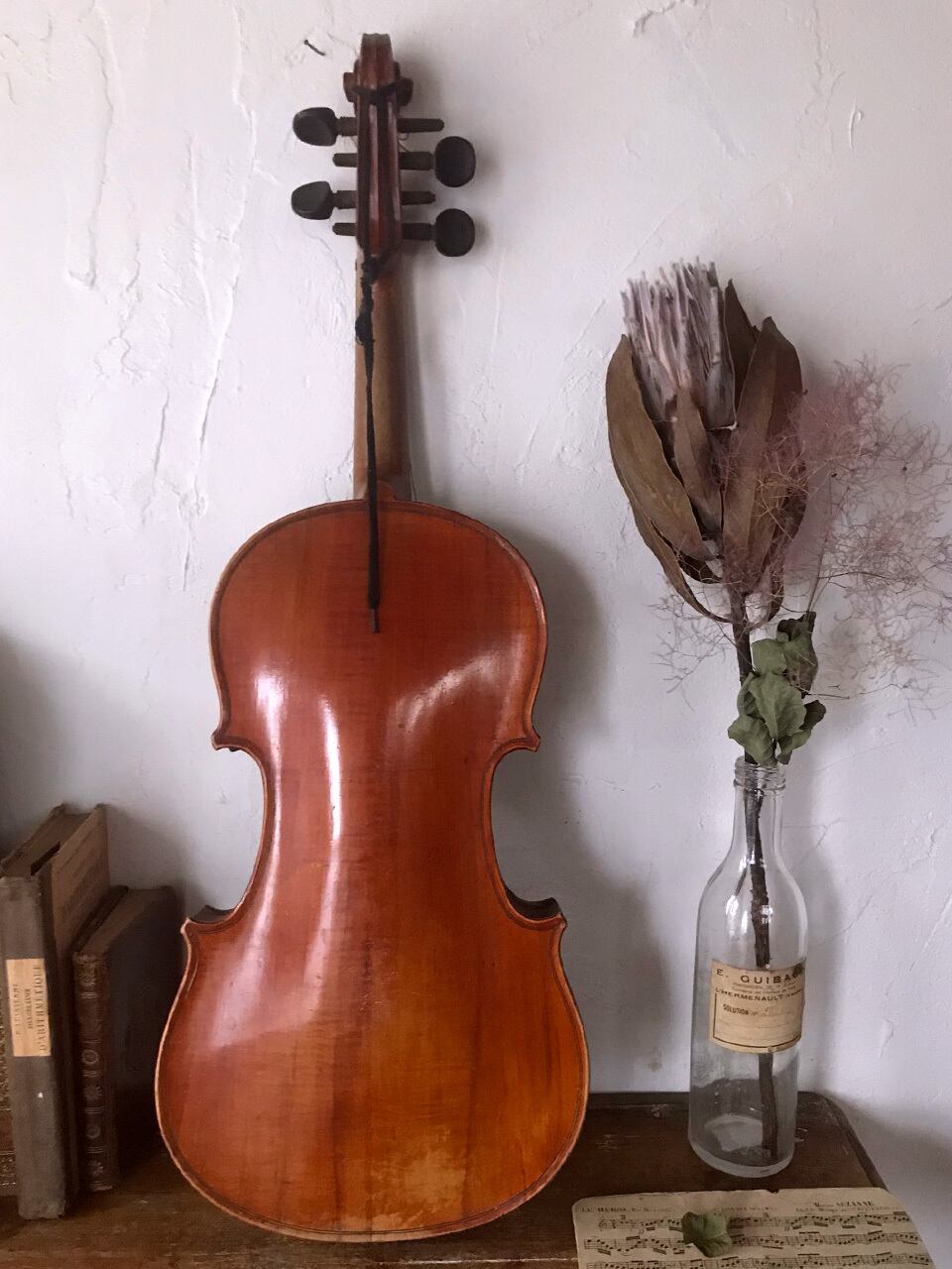 バイオリン 弦楽器 ジャンク | Brocante de La Cocotte （フランス