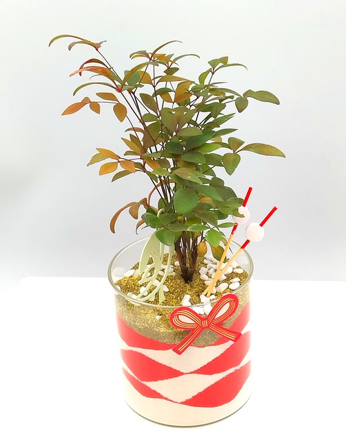 2026年　色・植物・香りで整える、やさしい時間　2026年1月9日（金）心をあたためる赤