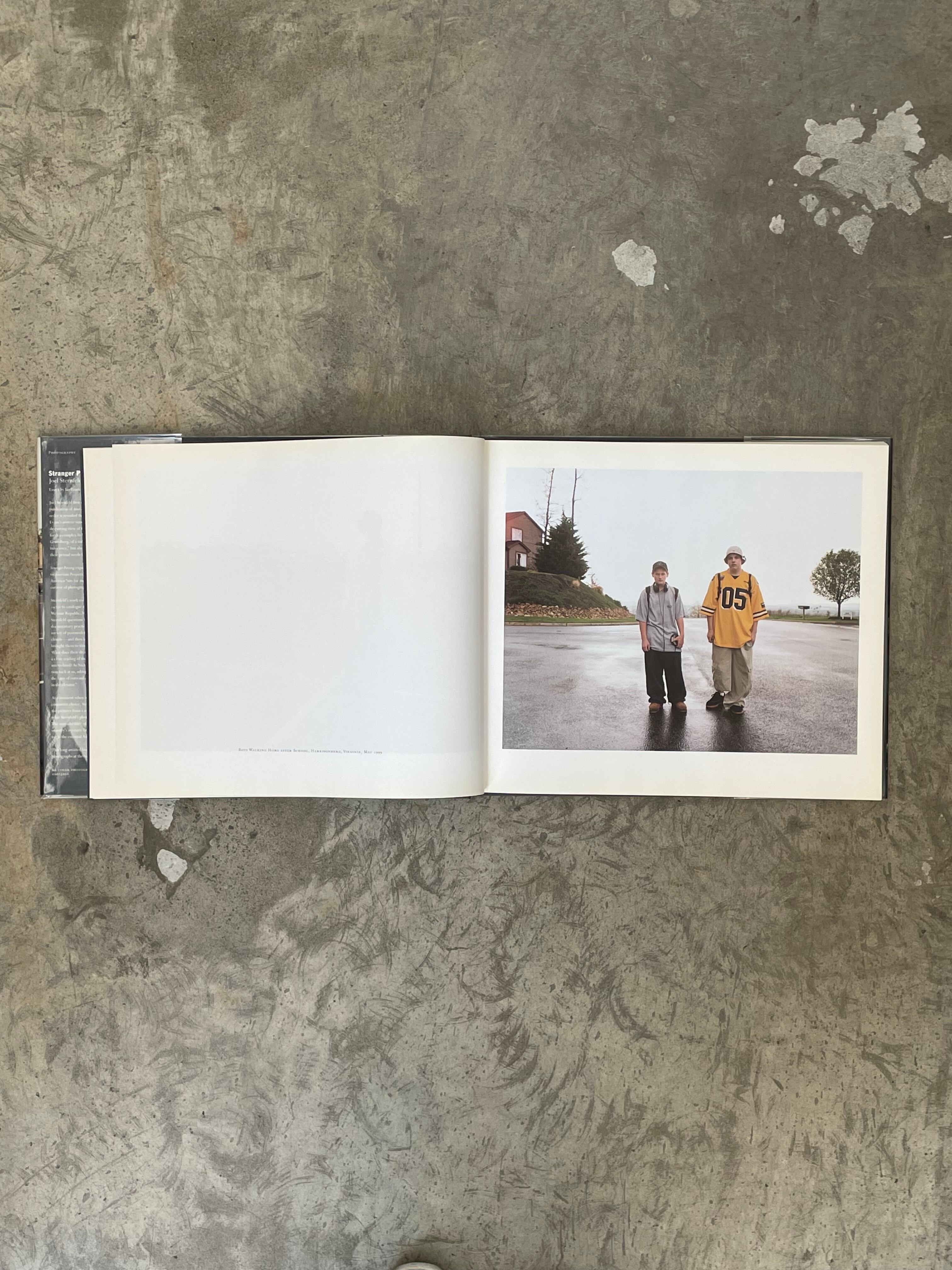 202.Stranger Passing (Joel Sternfeld) | 帽子堂