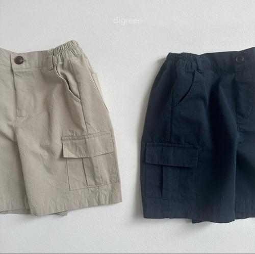 【ラス１】digreen / cargo pants