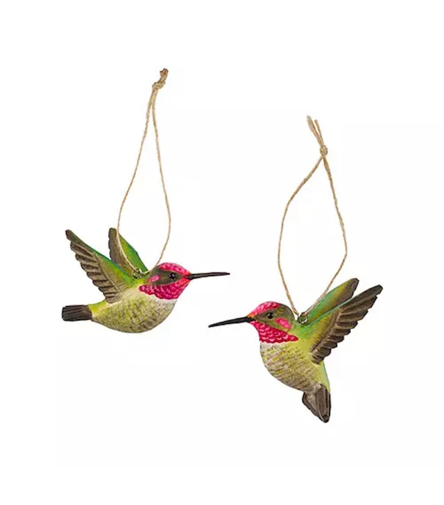 DECO BIRD（ハチドリ・DecoBird Anna's Hummingbird）
