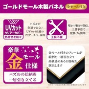 ビバリー 【日本製】 【壁かけひも付】 木製ゴールドモール付パズルフレーム 51×73.5cm(パネル№10-T) ブラック(黒) 【UVカット仕様/工具不要】 ゴールドモール木製パネル ジグソーパズルフレーム　額縁 MP107K