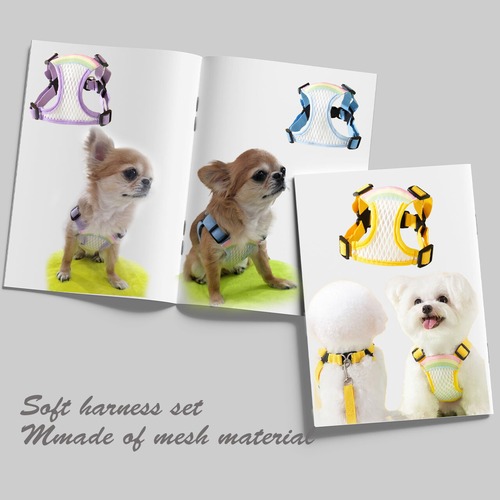 メッシュやわらかハーネス＆リードセット　パステルハーネスセット　レインボー ワンポイント かわいい メッシュ バックル留め 散歩　リード付　PAN0011