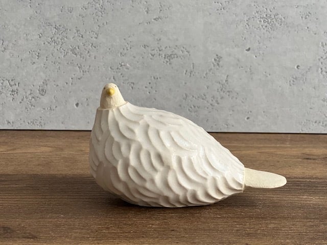 柴田菜月 | イロトリドリ 白