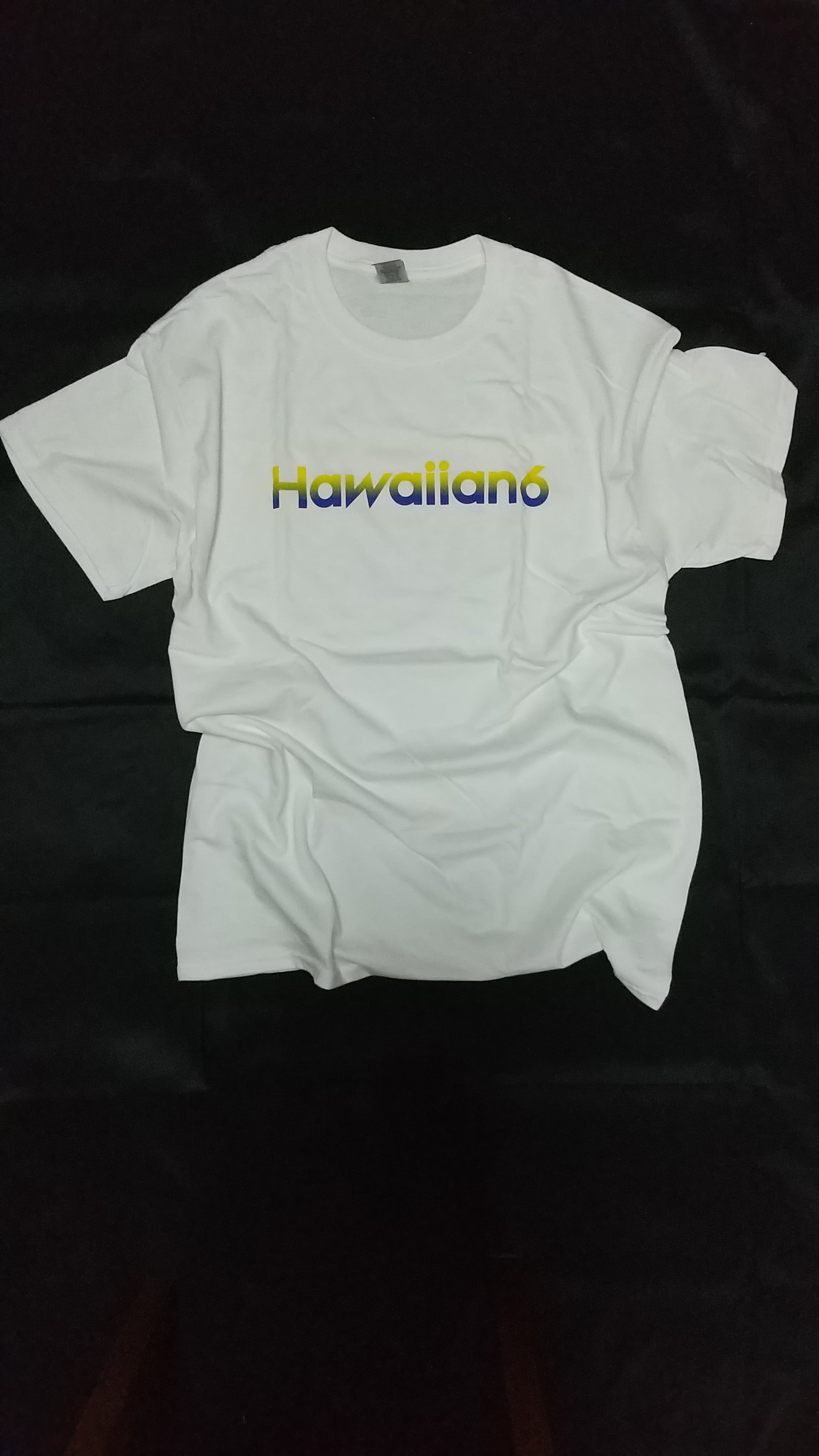 HAWAIIAN6 ロゴTシャツ | IKKI NOT DEAD SHOP