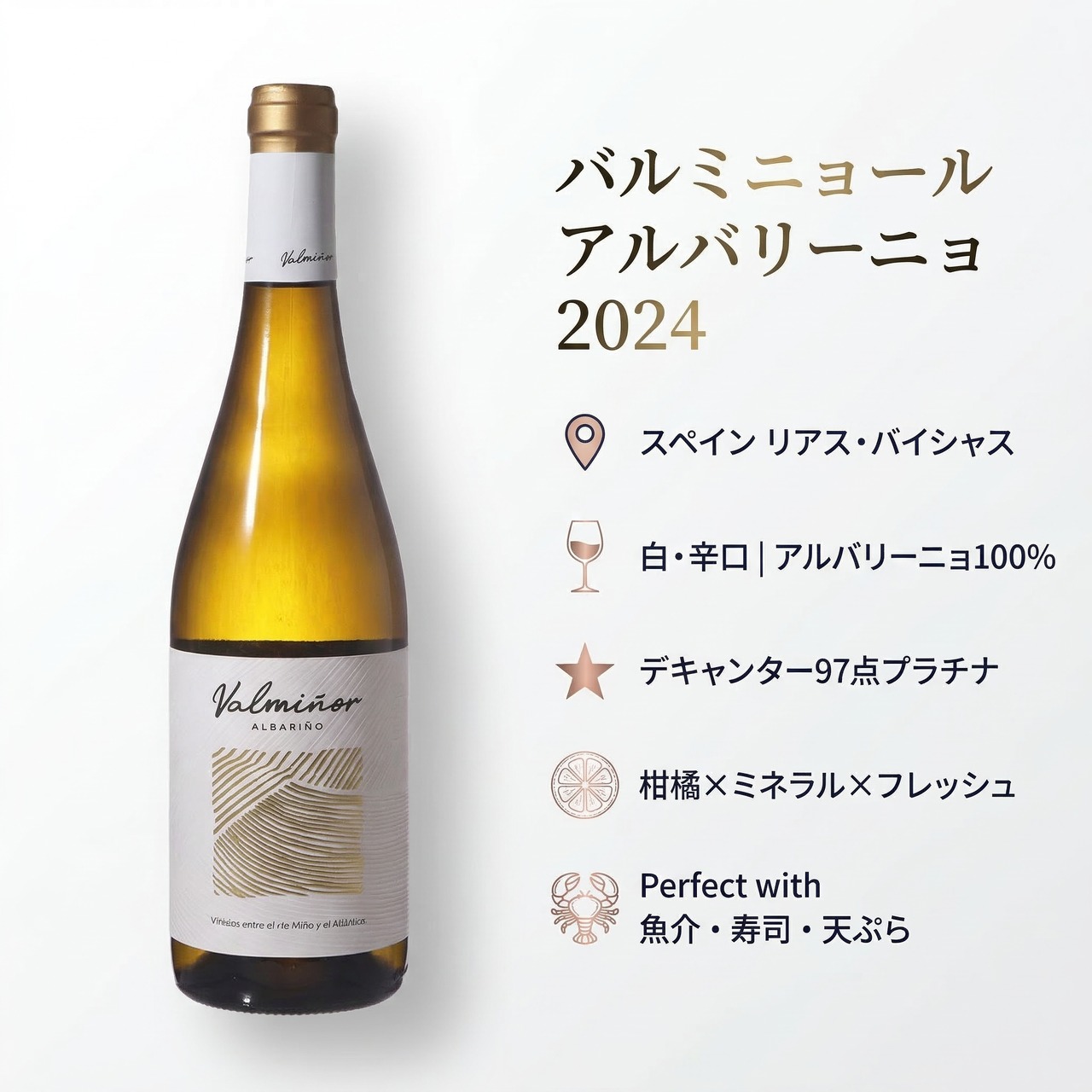 【柑橘×ミネラル×フレッシュ 海のワイン産地リアス・バイシャス】バルミニョール アルバリーニョ 2024｜スペイン ガリシア 白ワイン｜アルバリーニョ