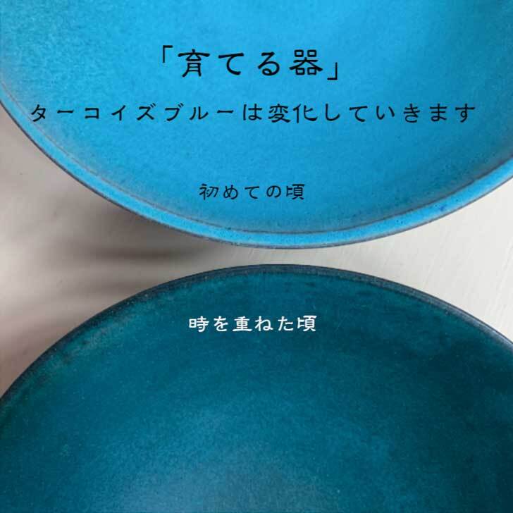 ブループレート（小）　wb-2　中皿 お皿 和食器 おしゃれ プレート 皿 直径約17cm 高さ約2.5cm 青 ターコイズ  トレー皿 トレイ皿 スタイリッシュ 無地 丸 丸皿 育てる器  カフェ 取皿 食器 器 陶器 青 ブルー   ギフト プレゼント