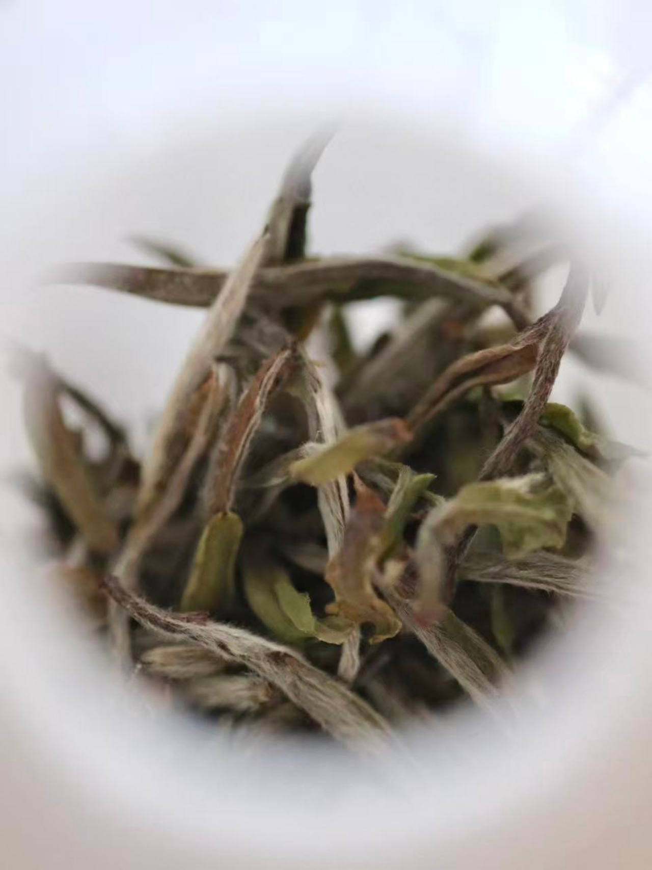 福鼎白茶 明前高級白牡丹 Fuding Premium White Peony 30g