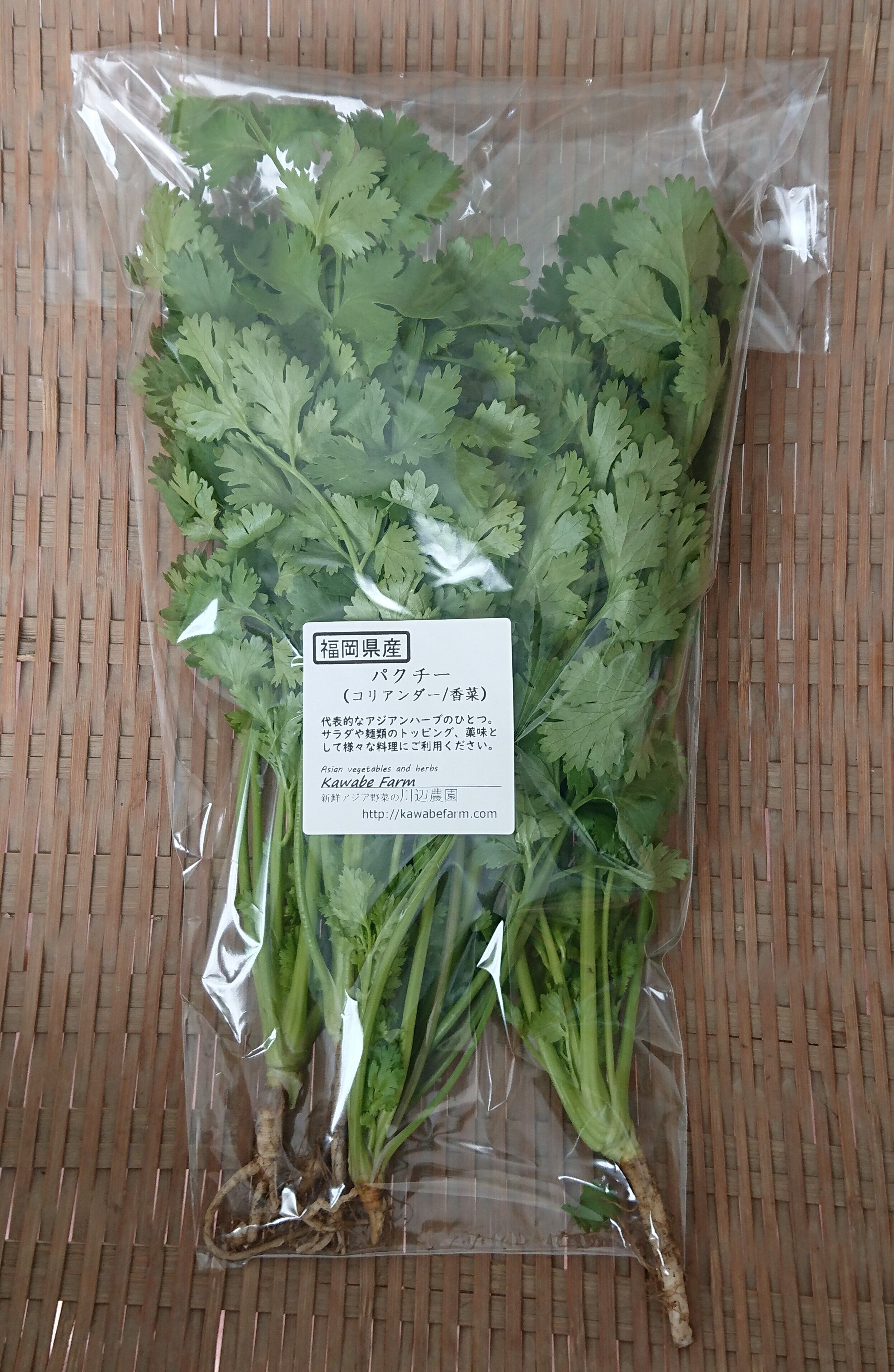 新鮮 パクチー5kg パクチー 100g(オフシーズン価格） | 川辺農園