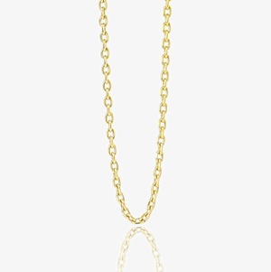 chain necklace（gold）#n5