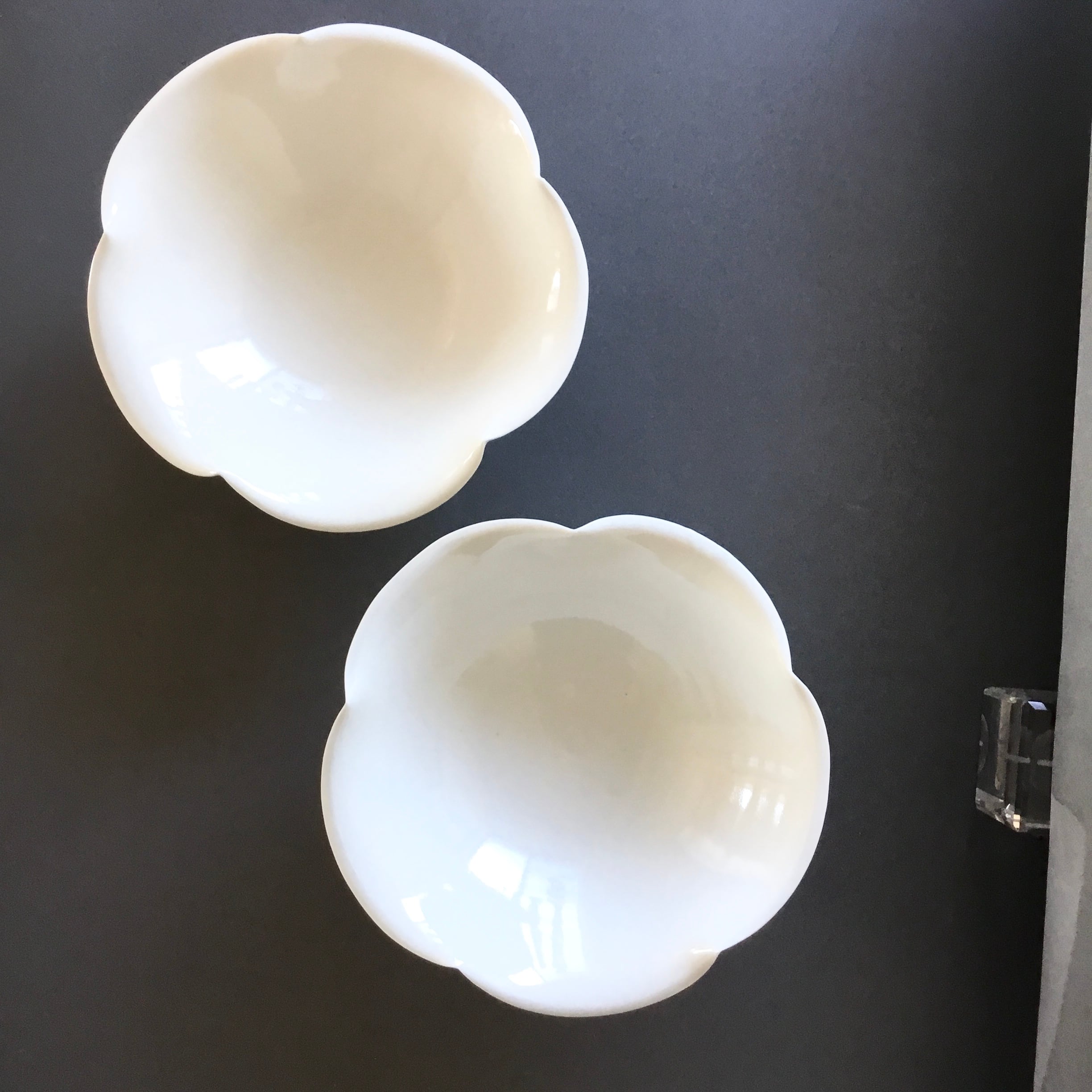 宮田竜司「白磁輪花鉢 青味がかった白色」 | Pay ID