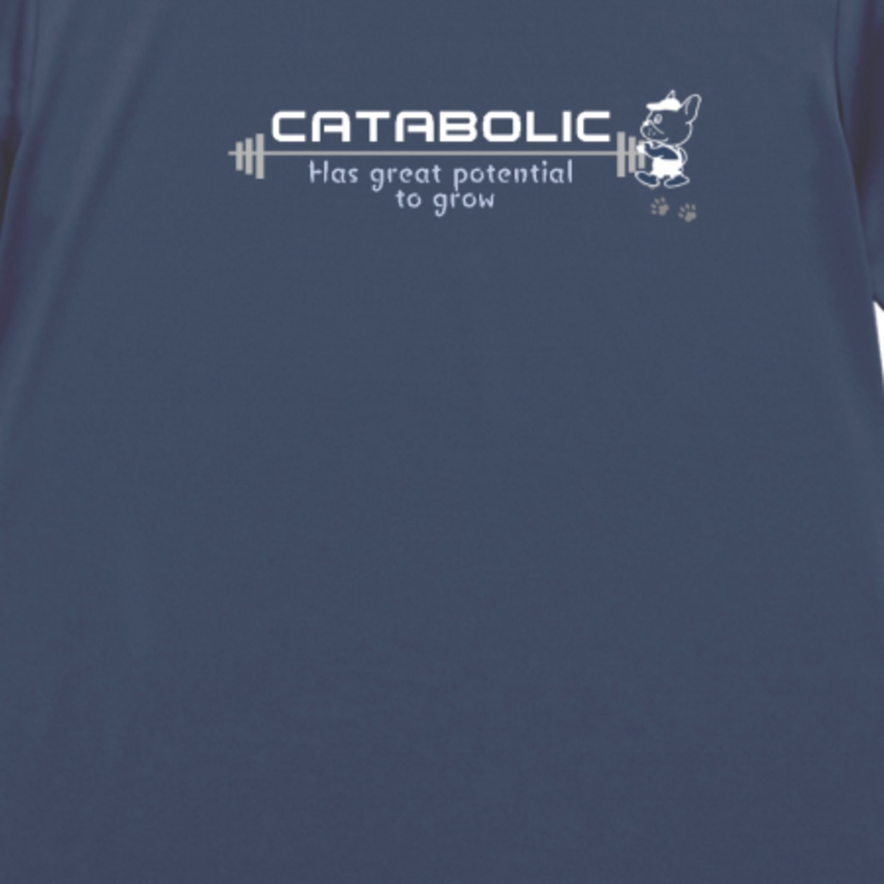 ドライTシャツ #3 【グレイッシュブルー】《XS-4XL》