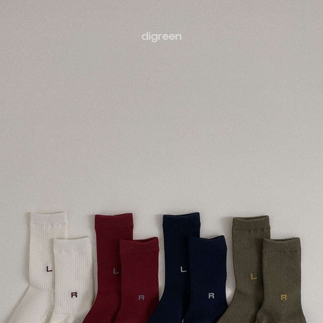 【即納】digreen Left Right socks