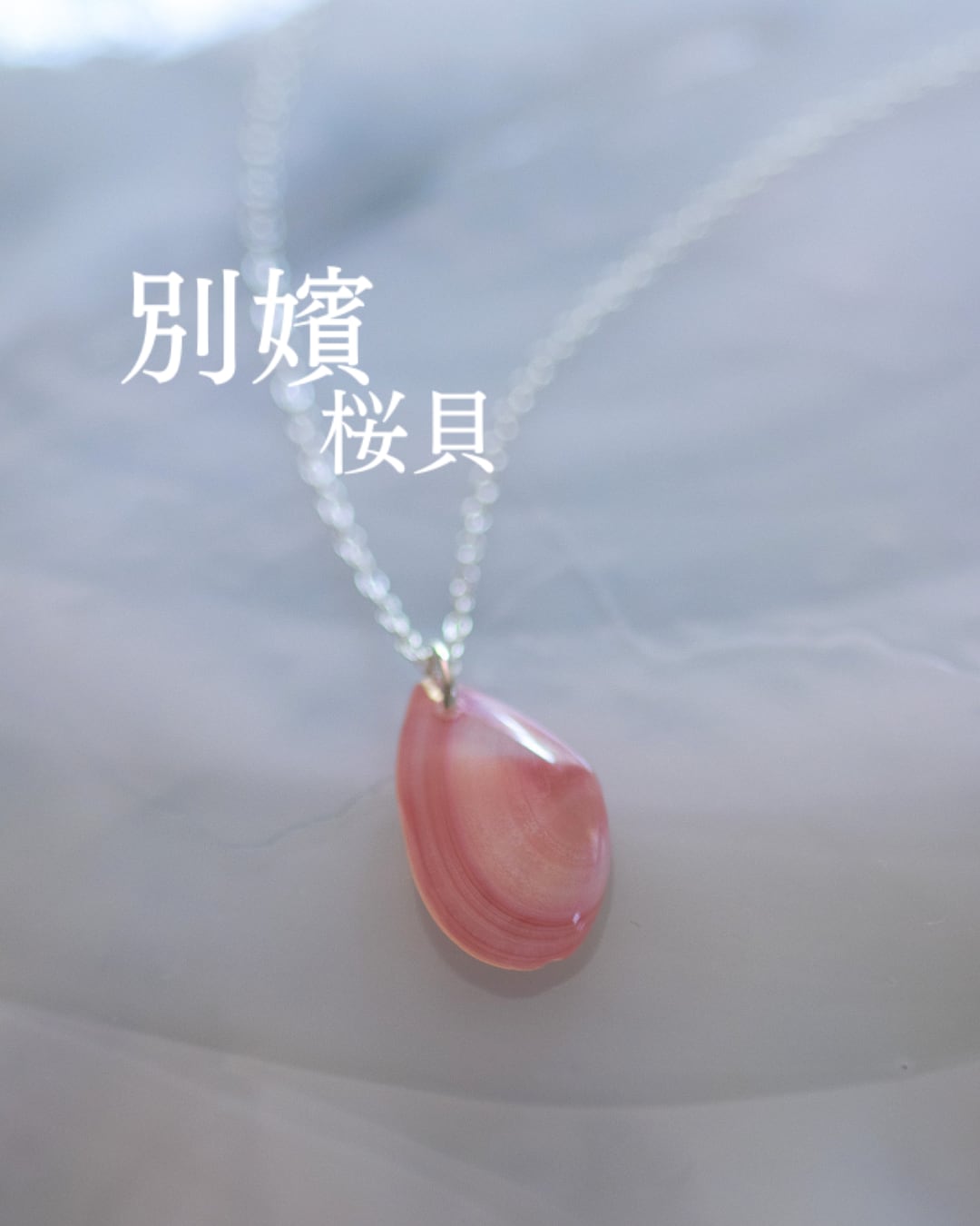 【別嬪桜貝】さくらひとえ ネックレス SV925 モモノハナガイ #06119