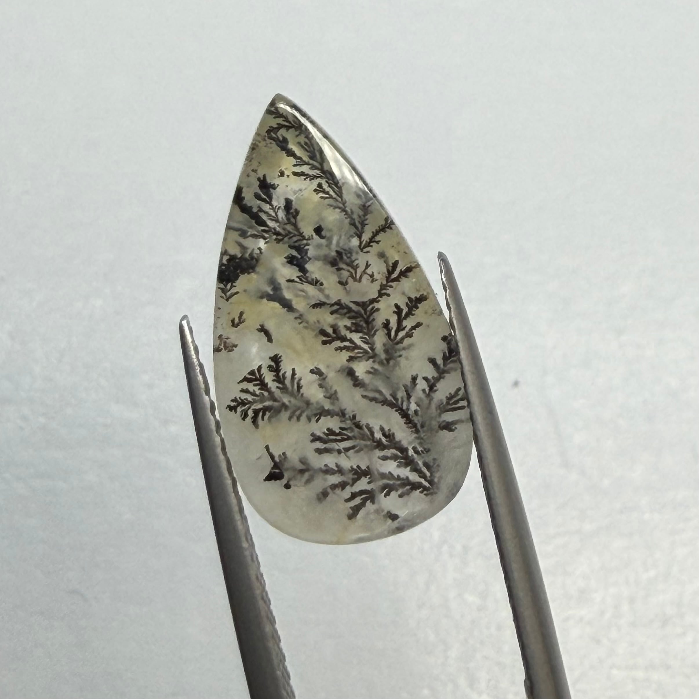 冬景色　デンドリティッククオーツ