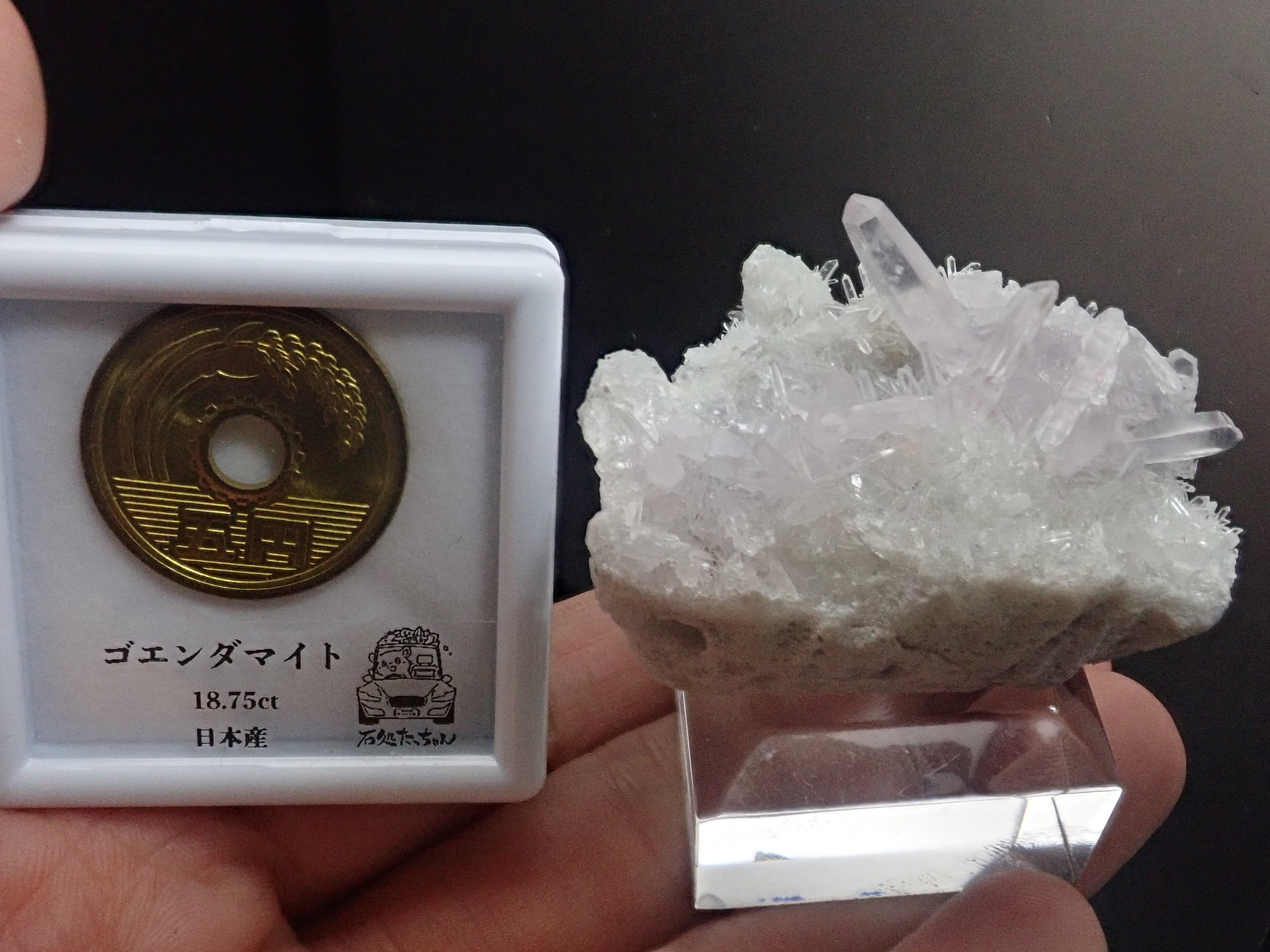 蛍鉱山】国産鉱物 アメジスト 紫水晶 原石 標本 | 石処たっちゃん
