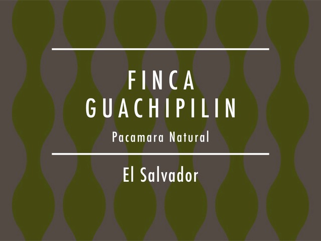 【お得！500g】エルサルバドル / FINCA GUACHIPILIN Pacamara Natural