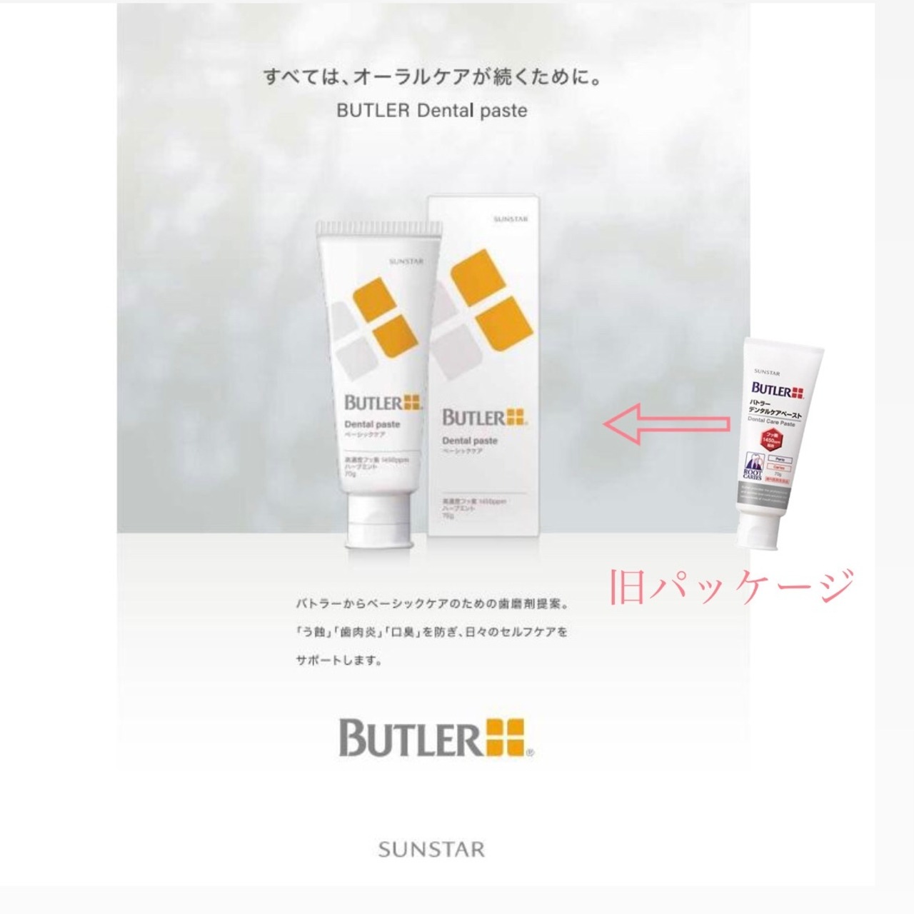 虫歯予防・歯周病予防　バトラーデンタルペースト