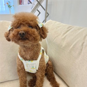 予約【pecoramou select】Rape Seed Eyelet Naciti