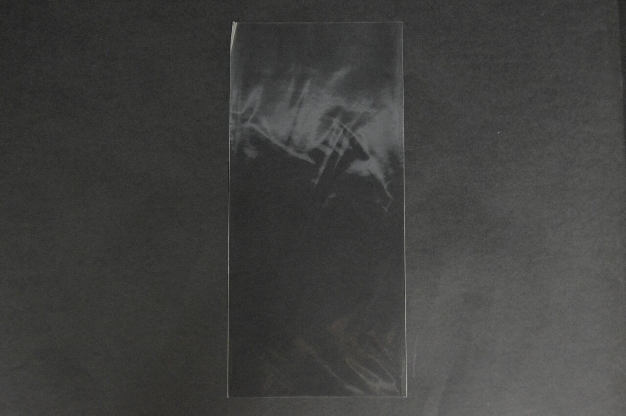 雑貨小分け包装・部品、資料整理(OPP袋 OPP袋 雑貨袋 テープ無し)横220×縦400mm 30μ(0.03mm)【1,000枚】