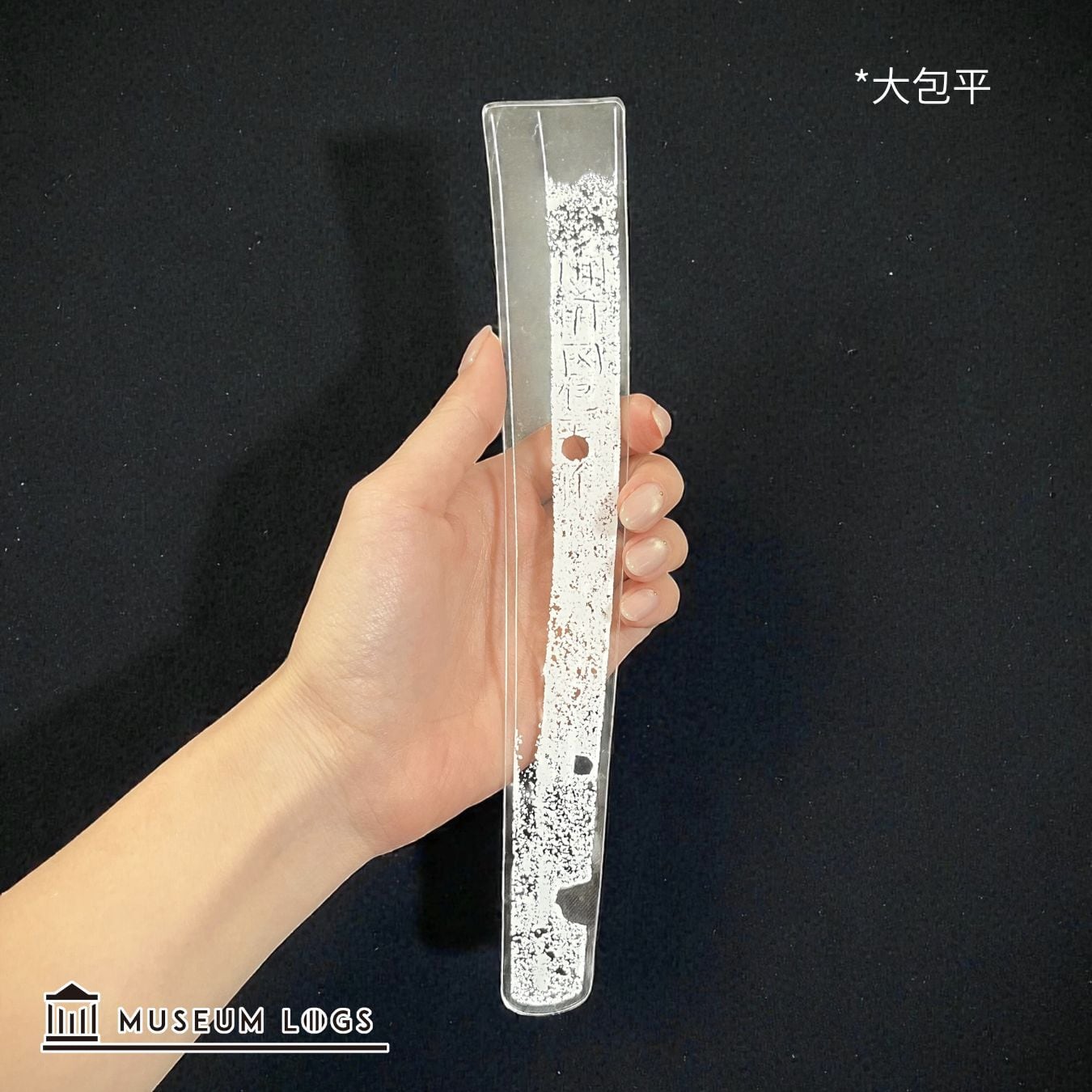 受注】全18種/大サイズ【実寸大茎アクリル】 | MUSEUM LOGS