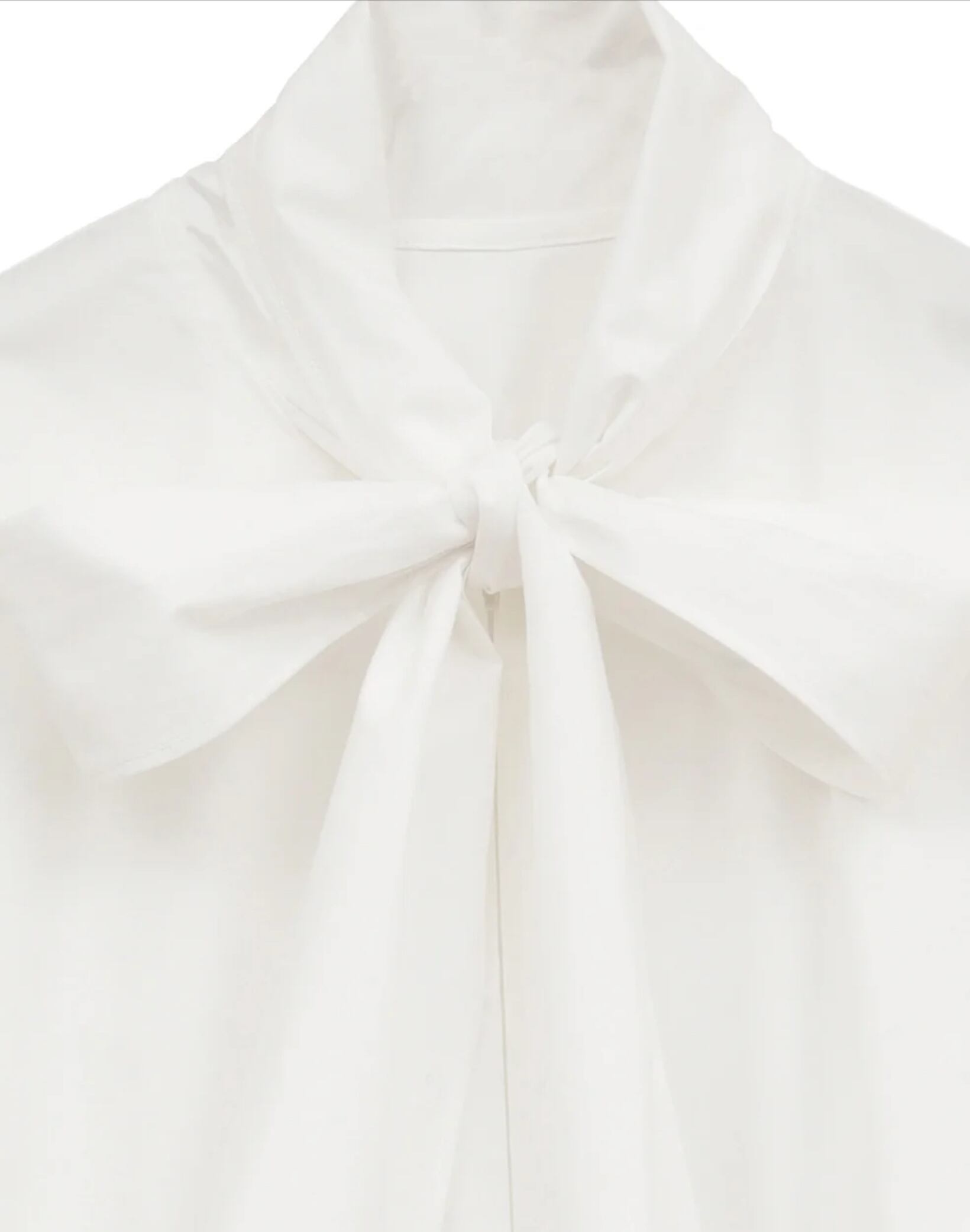 CLANE RIBBON ZIP SHIRTS | FLICKA ASHIYA