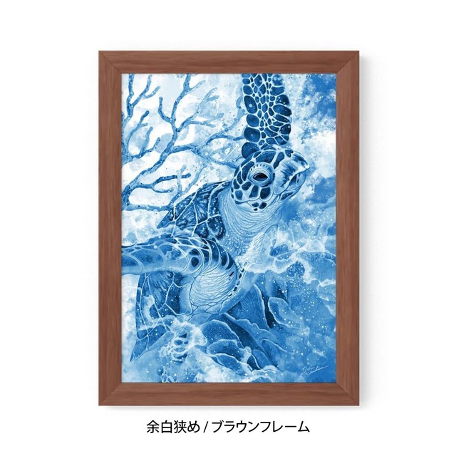 A5｜蒼海の海亀（フレームあり）