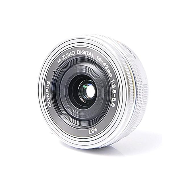 SONY SEL100M28GM（FE 100mm F2.8 Macro GM OSS） | Pay ID