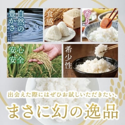 大子産米 ゆうだい21(精米)5kg茨城県 大子町 白米 1等米 食味値80以上