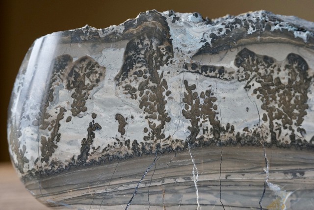 コタム・マーブル　Bristol Picture Stone ①