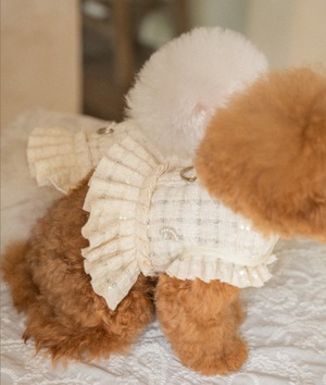 予約【pecoramou select】Twinkle harness＋leadset