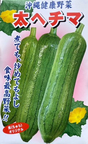 沖縄島野菜種子「沖縄太へちま」※送料込