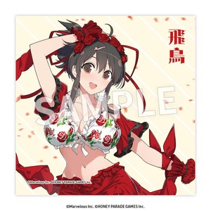 閃乱カグラ	クリーナークロス