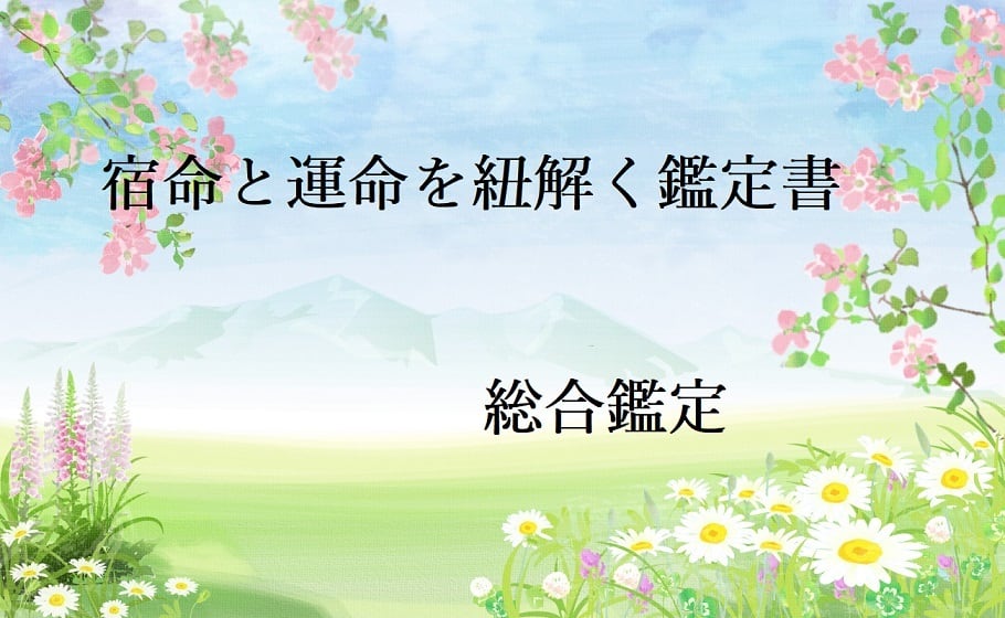 ビスクドール（オールビスク）モダン ダイアナエフナー 22cm