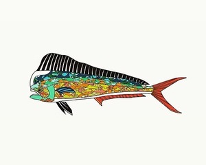 シイラステッカー　Lサイズ　ネイビーアパレル