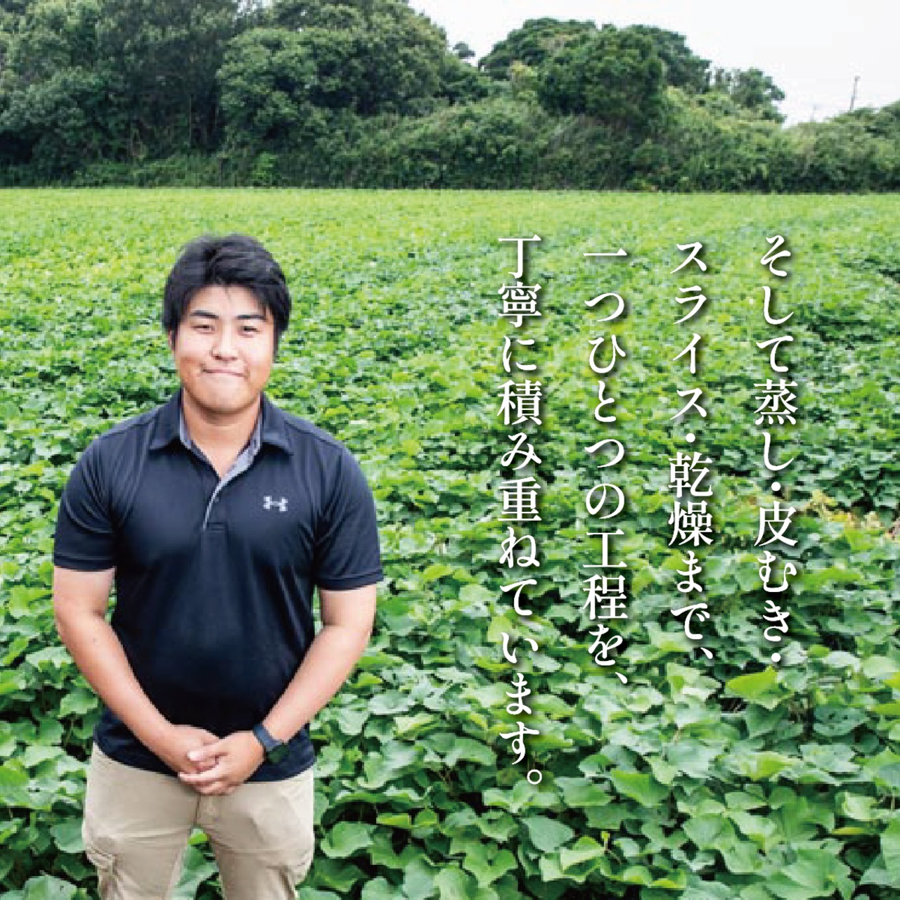 干し芋 小丸　150ｇ×10袋・画像6