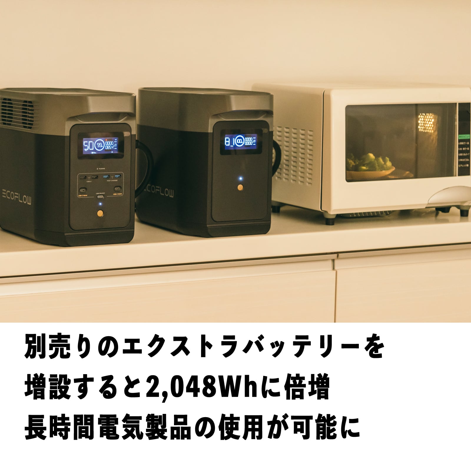 ポータブル電源 1,024Wh DELTA2 EcoFlow エコフロー デルタ2 | Meets