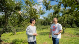 【東井農園さんの能登栗シフォン！】