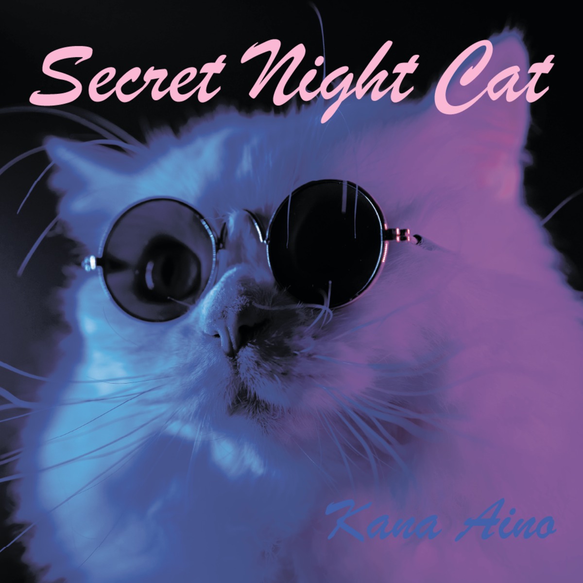【CDシングル】Secret Night Cat | RANTAN.web shop powered by BASE