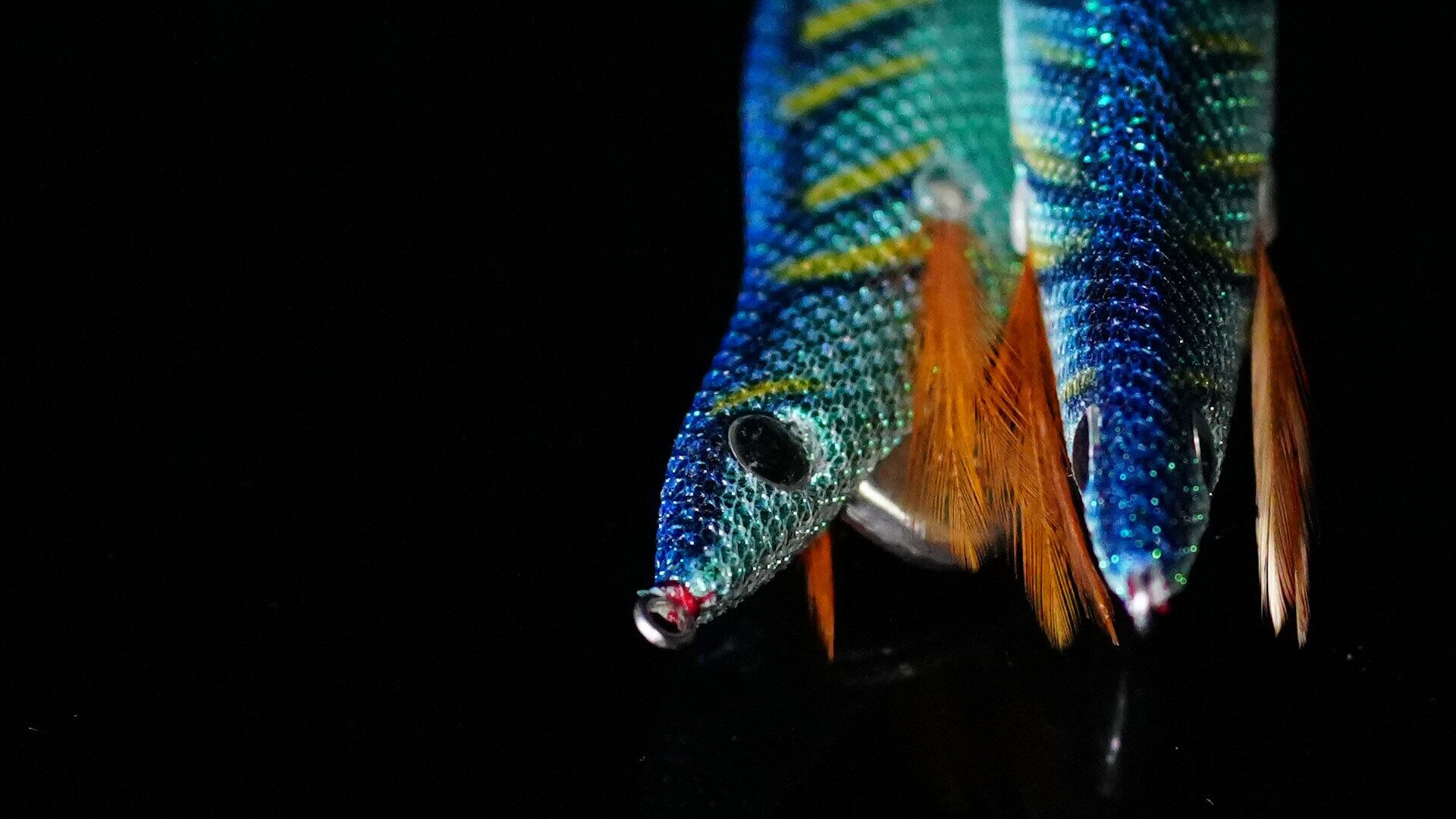 32】CROW3.0 グリーンダッシュ | EMBER MAZE official shop