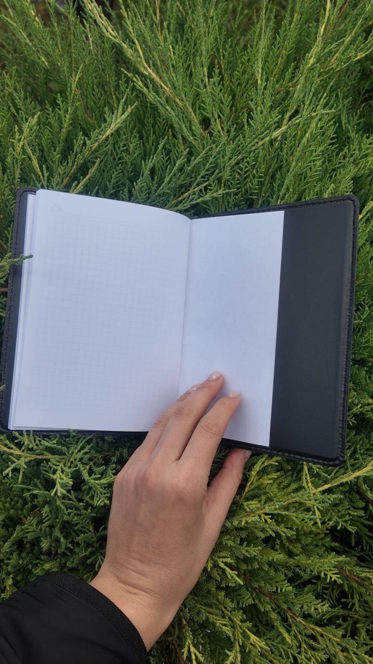 ペトリキフカカバー＋ノート 18 cm（ホメンコ） - 7