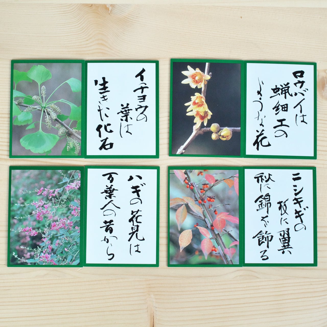 花おりおりかるた | 木のおもちゃ専門店 おもちゃ箱 イカロス 公式