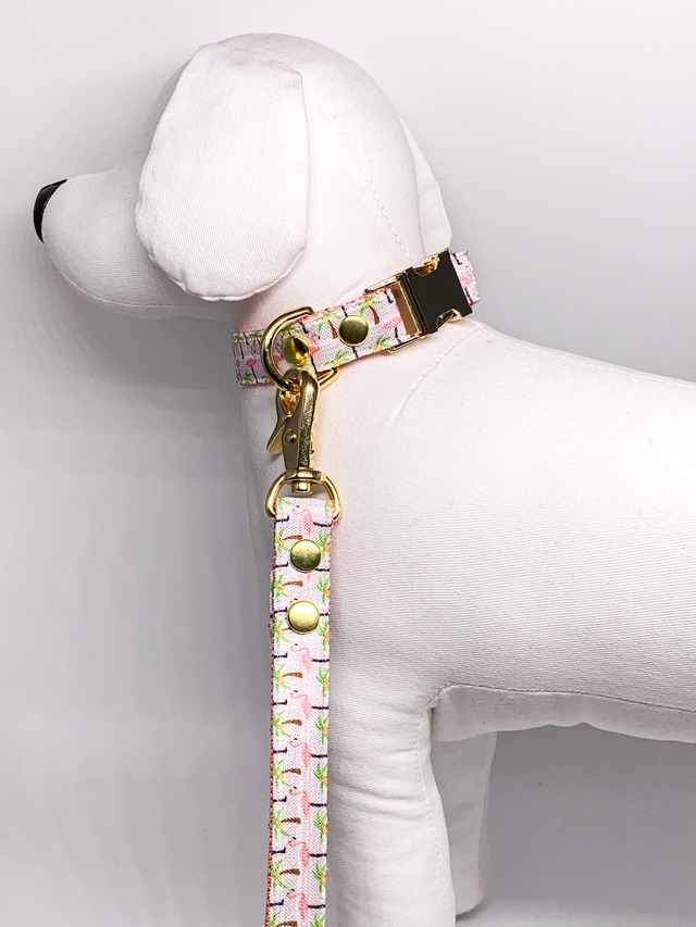 Collar&Leash set (Sofia)