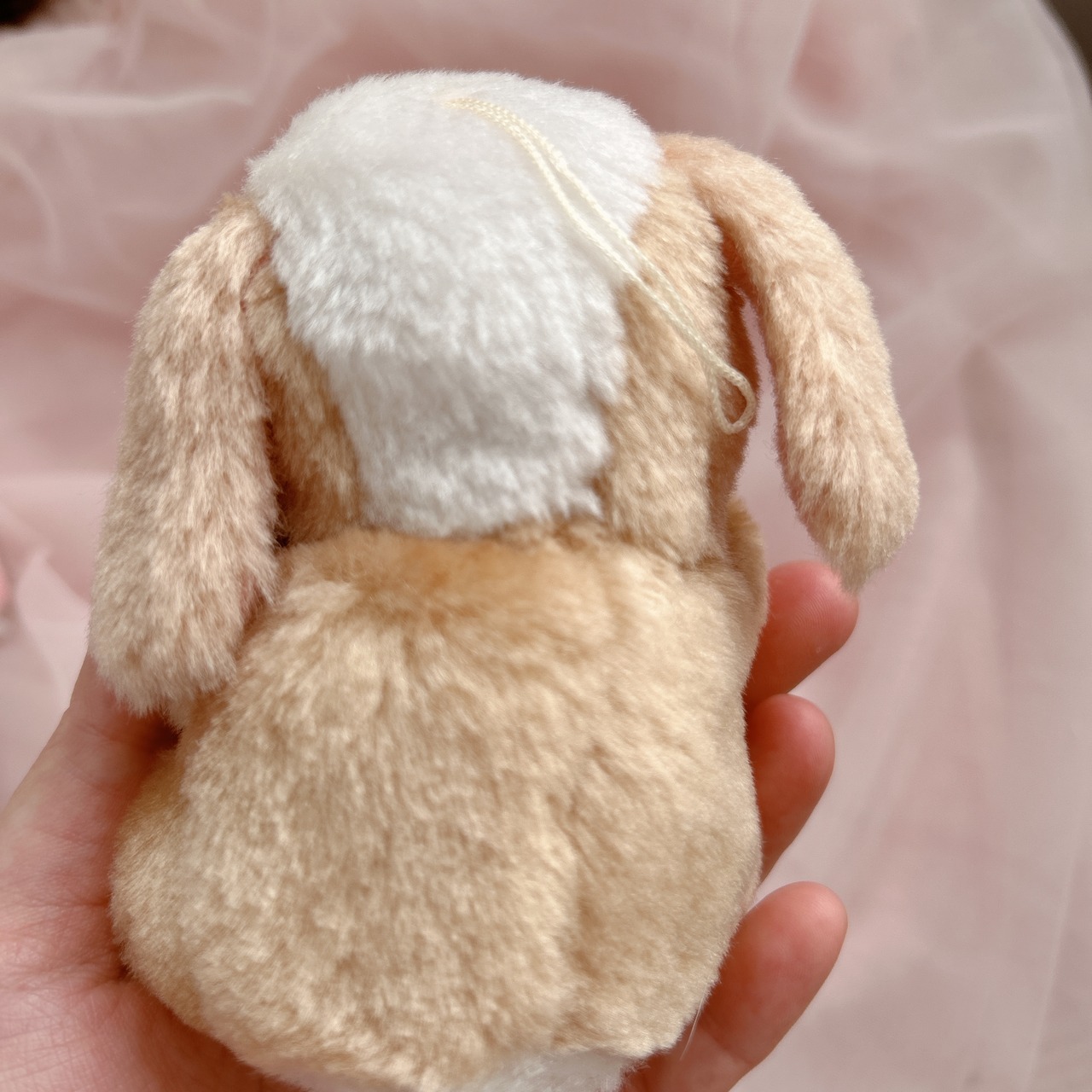 mini wankoの画像04
