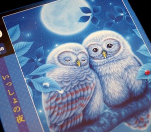 日本製ジグソーパズル「いっしょの夜」フクロウ